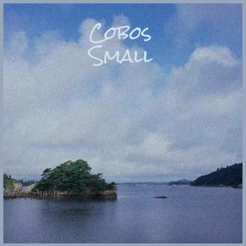 Cobos Small