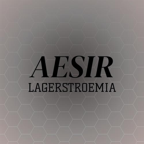 Aesir Lagerstroemia