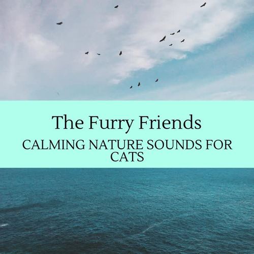 The Furry Friends - Calming Nature Sounds for Cats