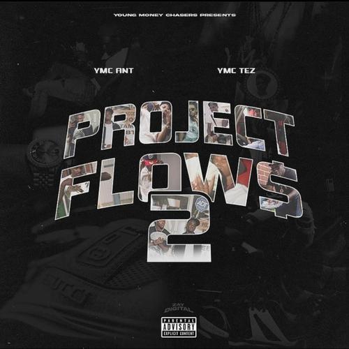 Project Flows 2 (Explicit)