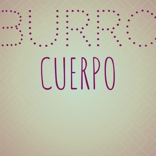 Burro Cuerpo