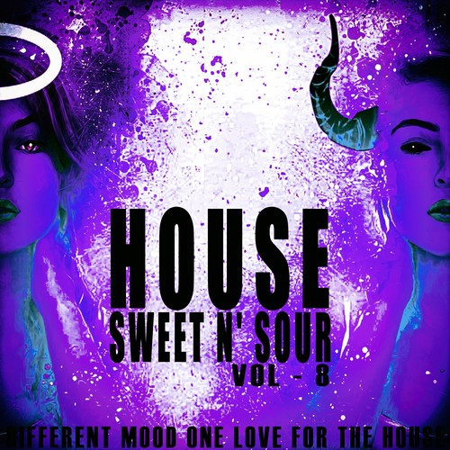 House Sweet N' Sour, Vol. 8