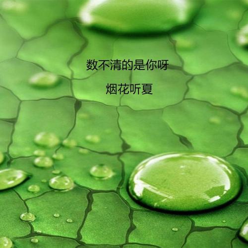 数不清的是你呀