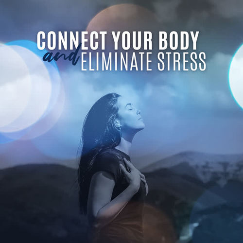 Connect Your Body and Eliminate Stress with Electronic Ambient & Lounge Music