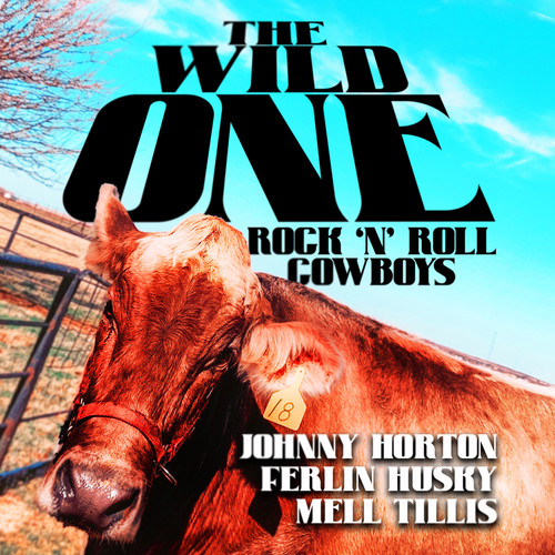 The Wild One (Rock 'N' Roll Cowboys)