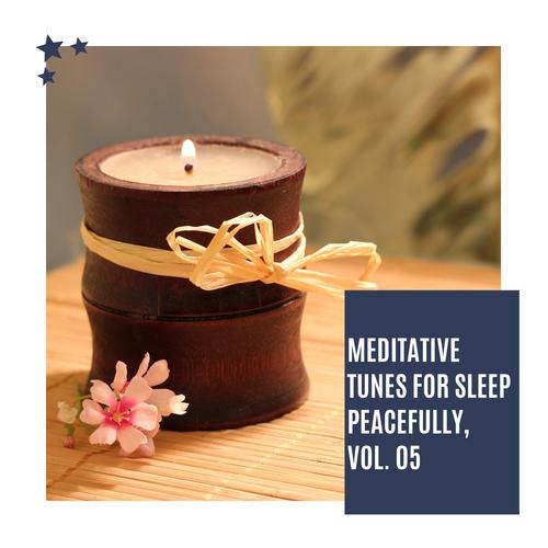 Meditative Tunes For Sleep Peacefully, Vol. 05