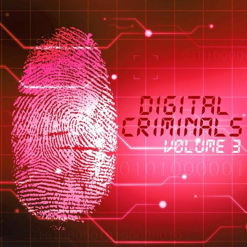 Digital Criminals, Vol. 3