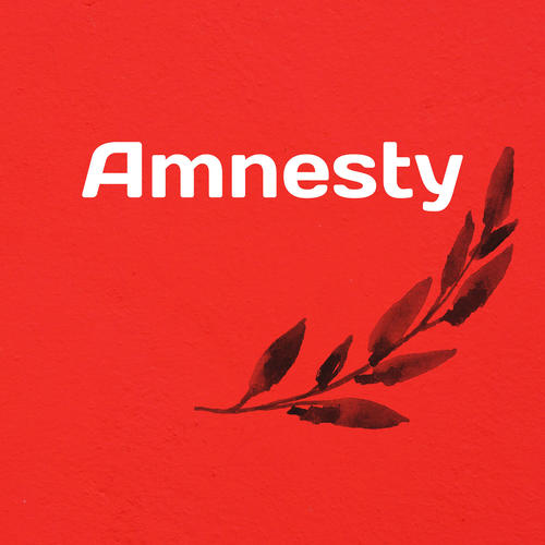 Amnesty