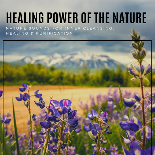 Healing Power Of Nature - Nature Sounds For Inner Cleansing, Healing & Purification