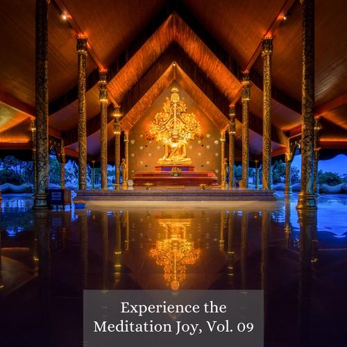 Experience the Meditation Joy, Vol. 09