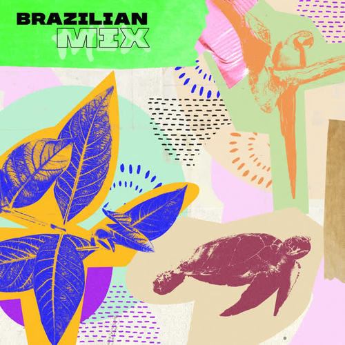 Brazilian Mix (Explicit)