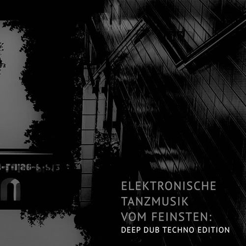 Elektronische Tanzmusik vom feinsten: Deep Dub Techno Edition