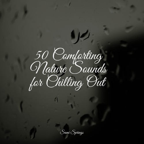 50 Comforting Nature Sounds for Chilling Out