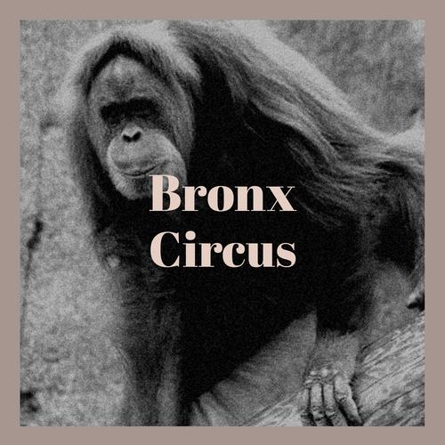 Bronx Circus