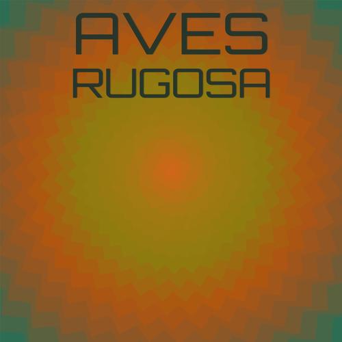 Aves Rugosa