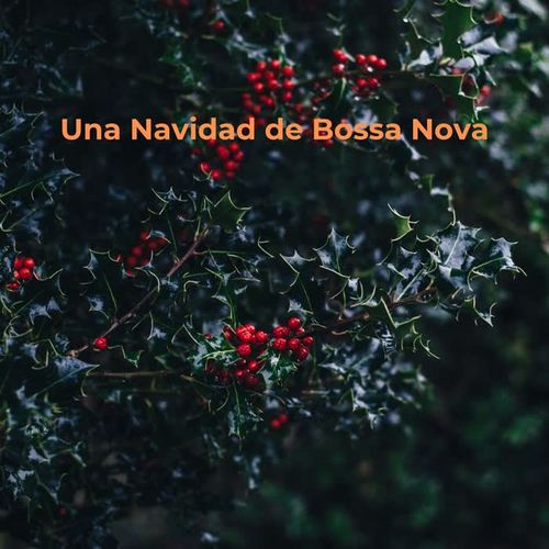 Una Navidad de Bossa Nova