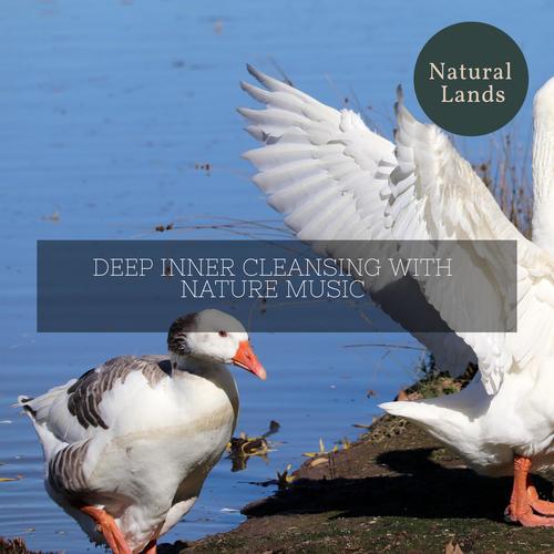 Deep Inner Cleansing with Nature Music