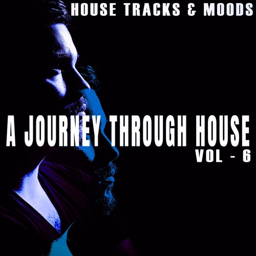 A Journey Through House, Vol. 6