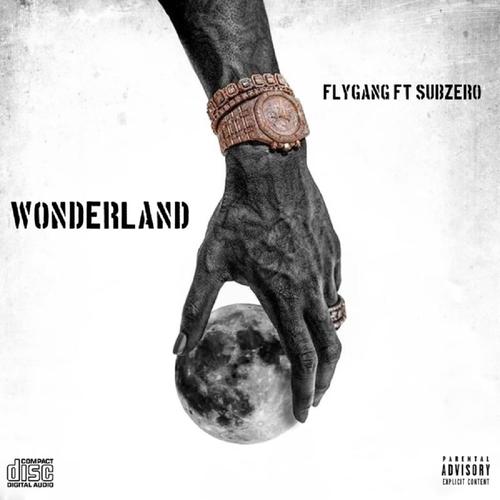 Wonderland (feat. Subzero) [Explicit]