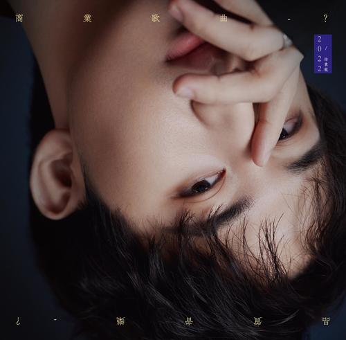徐秉龙-乌云.flac 下载插图