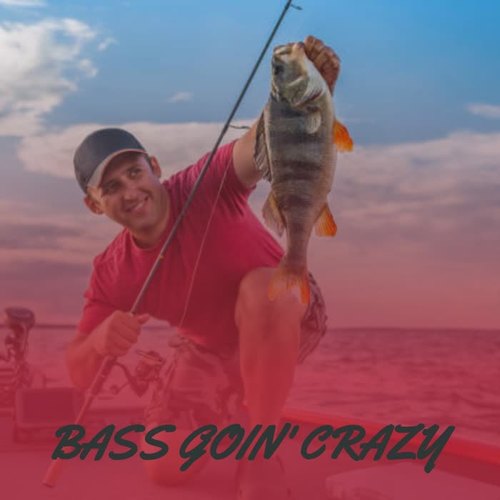 Bass Goin' Crazy