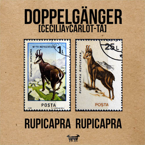 Rupicapra Rupicapra