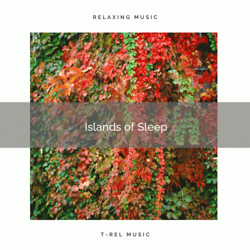 2022 Islands of Sleep