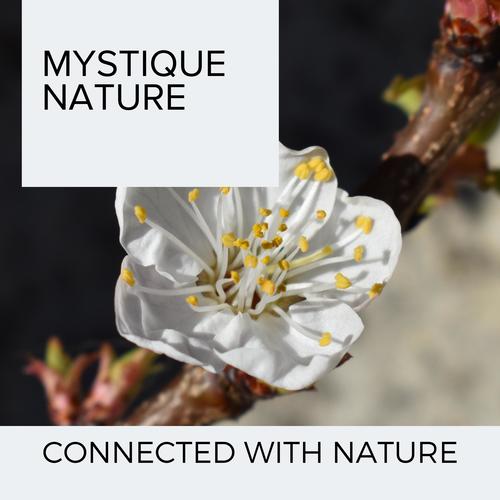 Mystique Nature - Connected With Nature