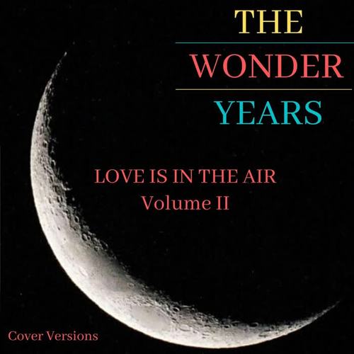 The Wonder Years: Love Is in the Air, Vol. 2