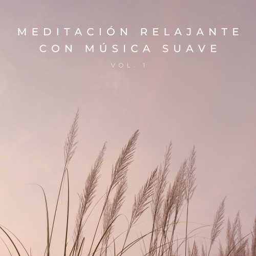 Meditación Relajante Con Música Suave Vol. 1