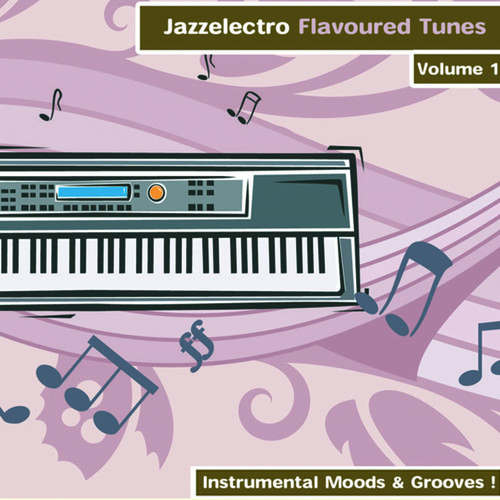 Jazzelectro Flavoured Tunes Vol. 1 - Instrumental Moods & Grooves!