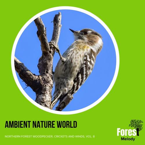 Ambient Nature World - Northern Forest Woodpecker, Crickets and Winds, Vol. 8