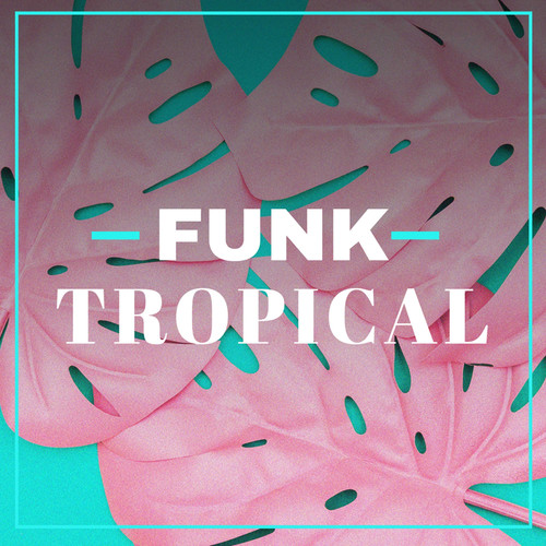 Funk Tropical (Explicit)