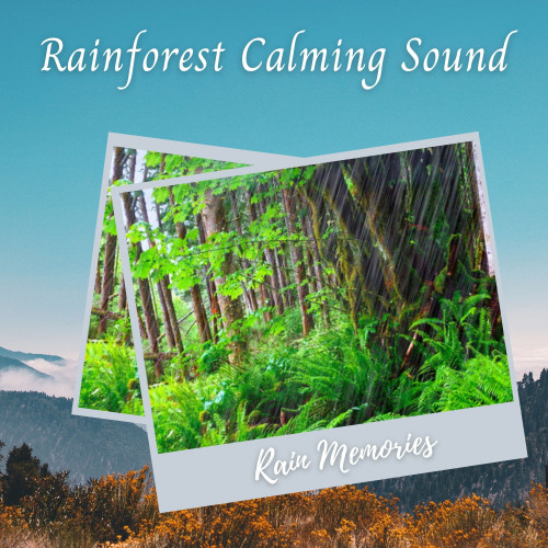 Rain Memories: Rainforest Calming Sound - 2 Hours