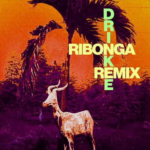 Drinkee (Ribongia Remix)