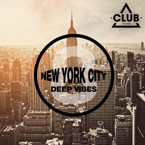 New York City Deep Vibes, Vol. 8