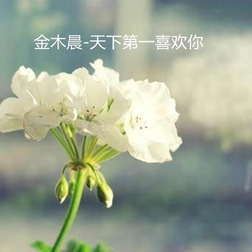 天下第一喜欢你