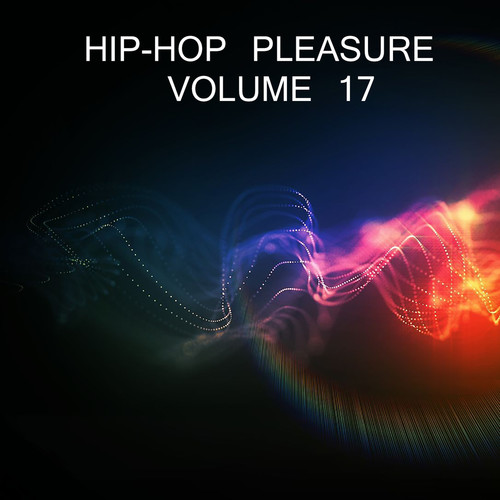 Hip-Hop Pleasure, Vol.17