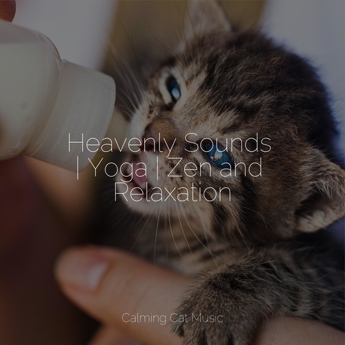 Heavenly Sounds | Yoga | Zen and Relaxation