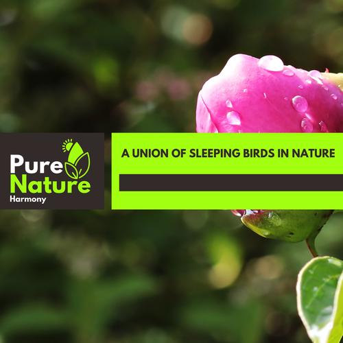 A Union of Sleeping Birds in Nature