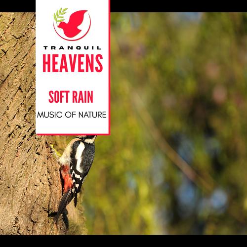 Soft Rain - Music of Nature