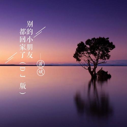 别的小朋友都回家了(DJ版)