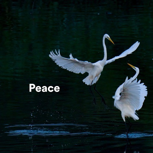 Peace