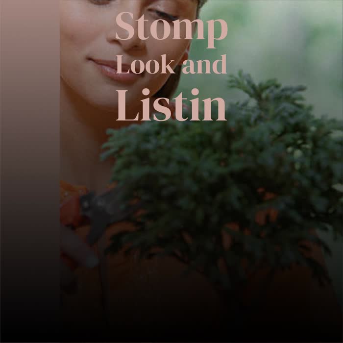 Stomp Look and Listin