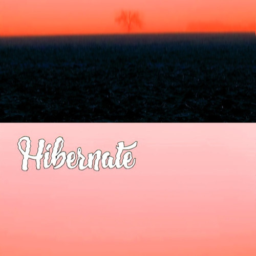 Hibernate