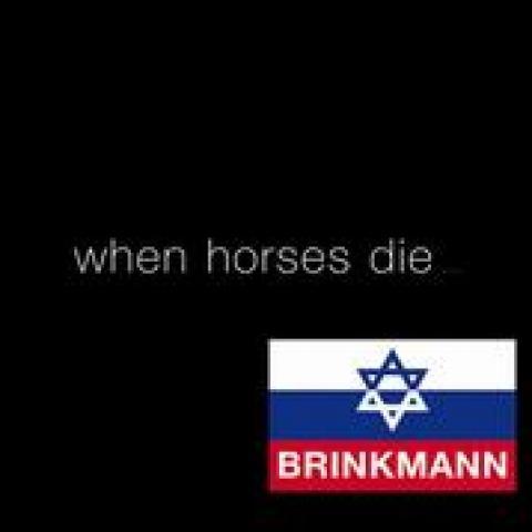 When Horses Die