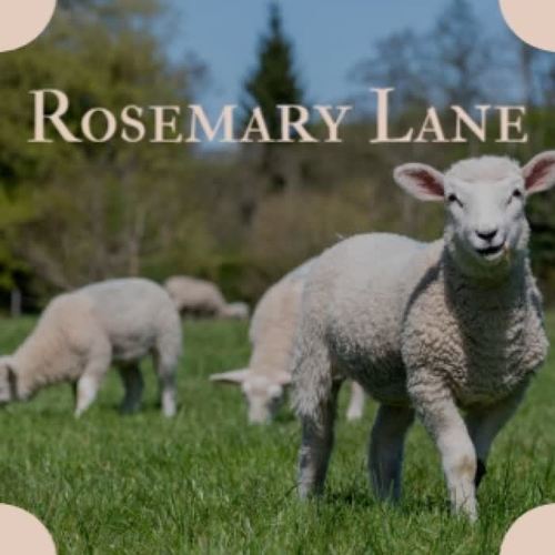 Rosemary Lane