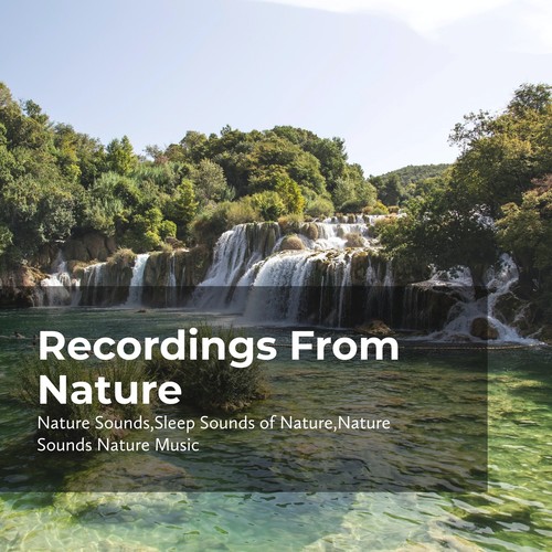 Recordings From Nature