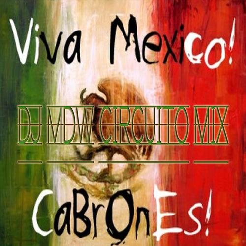 Viva Mexico 2010 (Dj Mdw Circuito Mix)