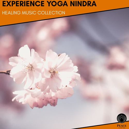 Experience Yoga Nindra - Healing Music Collection